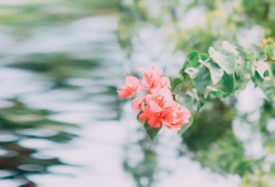 ​元旦适合发朋友圈的文案(合集78句)