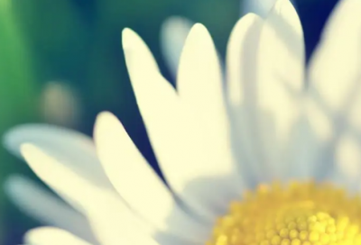 ​惊蛰借势文案，惊蛰唯美文案(60句)