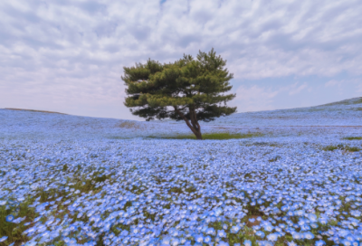 ​关于男生朋友圈说说的好句子大全