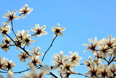 ​最激励人戒烟的话 励志戒烟的句子致自己