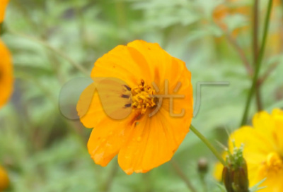 ​肖战说过的励志名句 肖战的经典语录励志的句子