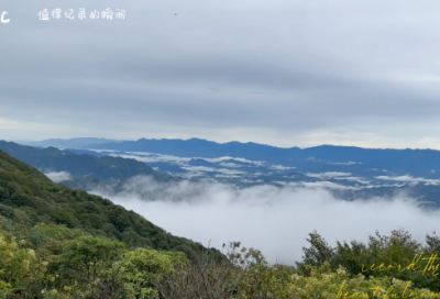 ​助学励志语录