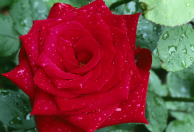 ​又要踏上打工的路说说 年后出去打工朋友圈说说