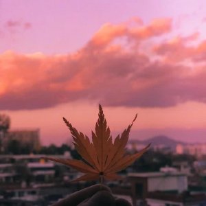 ​不要为了不值得的人难过的句子(经典语句)