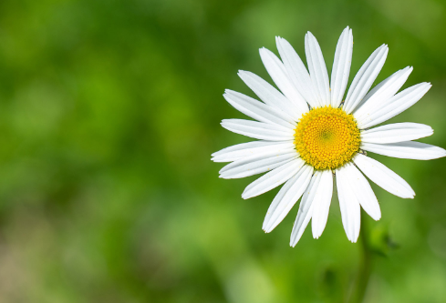 1687267762729799.png image.png