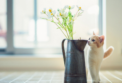 ​有关立秋的文案