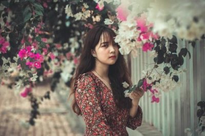 ​晚餐的文案的句子(24句)