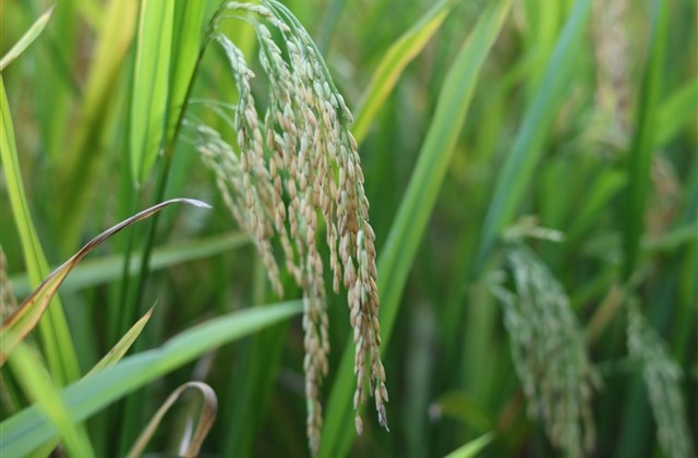 三个字独特好听昵称男