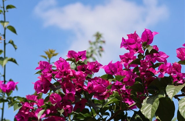 三个字独特好听昵称男