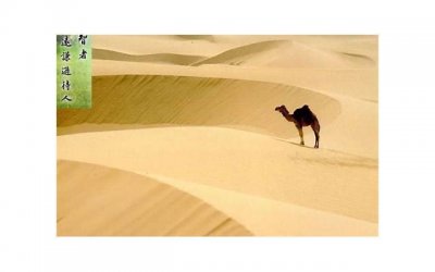 ​愿生活会变成我想要的样子 一个人熬过了所有的(精选22句)