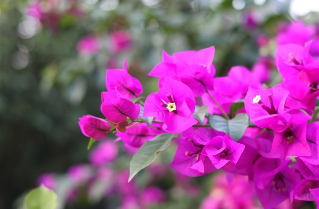 高端好听的吃鸡名字可爱(优选63个) 高端好听的吃鸡名字可爱(优选63个)