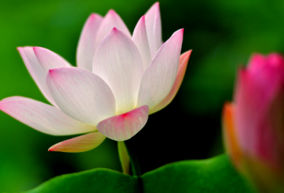 ​放下说说伤感句子-54句