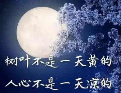 ​句句说到心坎上的句子