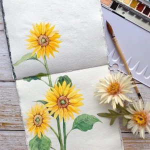 ​可以发朋友圈的唯美短句，积极阳光，令人豁然开朗