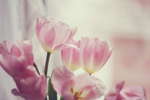 高考前朋友圈祝福语短信(精选68句)