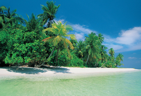 1711100474476239.png image.png