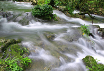 ​周末愉快早安心语_周未发朋友圈的早安说说