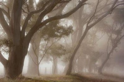 ​朋友圈销售经典语录[24条] (经典朋友圈说说语录)