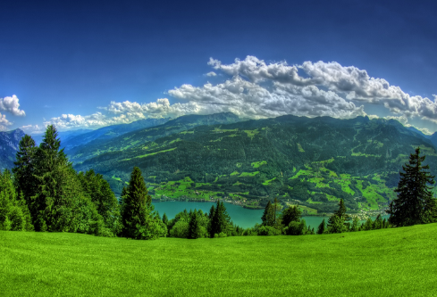 1689448182594192.png image.png