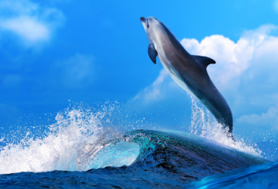 ​可爱奶味甜甜的女生网名(精选90个)