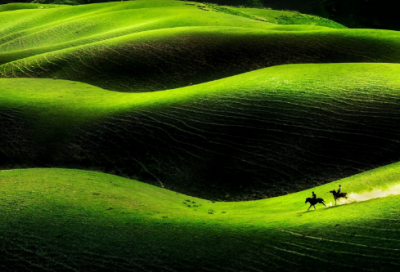 ​茶靡微凉凉到忧伤 2019年古风武侠网名(精选81个)