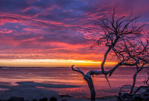 1689543673962526.png image.png