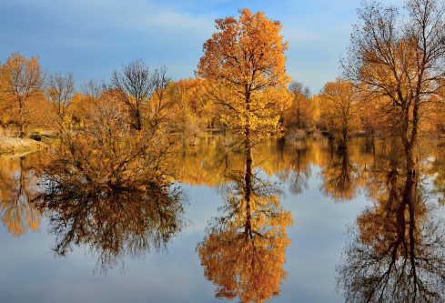 1689574829725669.png image.png