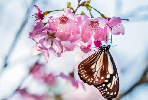 1689601821968527.png image.png