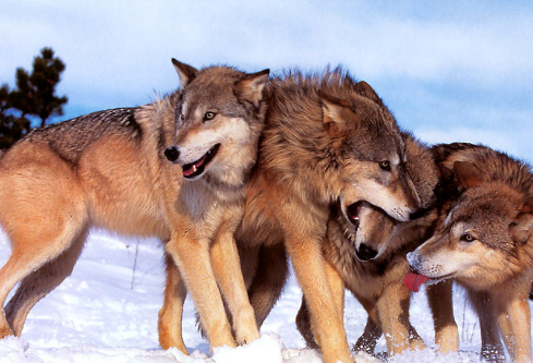 1690592607444967.png image.png