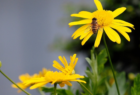 1690672727724930.png image.png