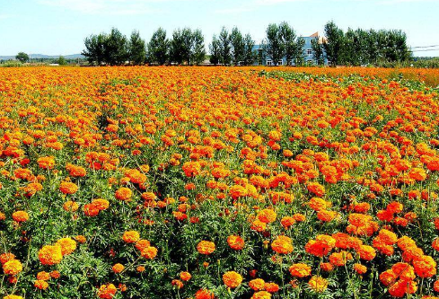 1690674270787005.png image.png