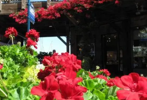 1690674956950927.png image.png