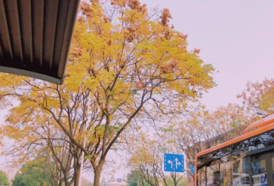 ​关于浪漫有内涵的爱情句子 爱情浪漫的句子唯美短句