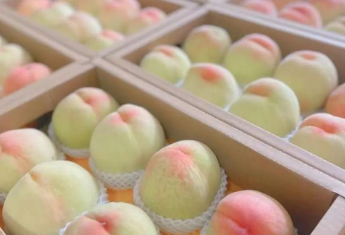 1690688856594278.png image.png