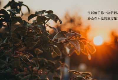 ​关于中考加油励志语录192句（精选）