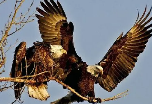 1695216008218664.png image.png