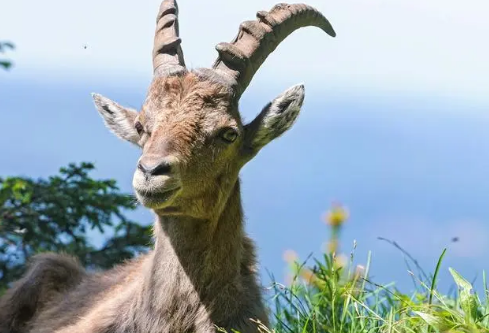 1695219989392938.png image.png