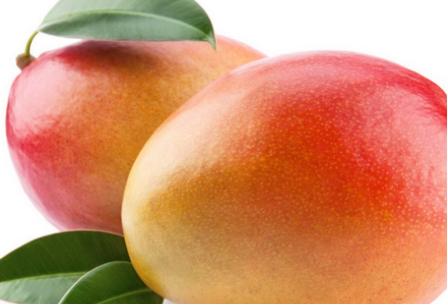 1695237087267065.png image.png